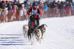 Lenk 2013